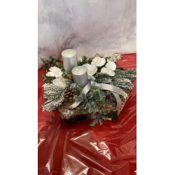 Composizione su corteccia...