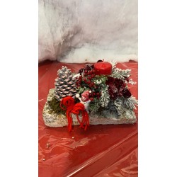 Composizione su corteccia...