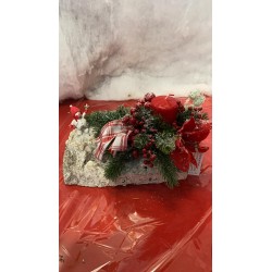 Composizione su corteccia...