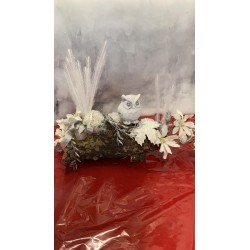 Composizione su corteccia...