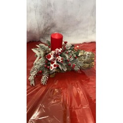 Composizione su corteccia...