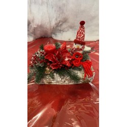 Composizione su corteccia...